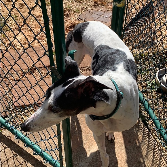 Meet your Posher, Michael - Picture 1 of 1